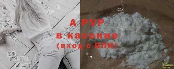 гашик Покачи