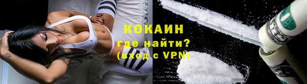 гашик Покачи