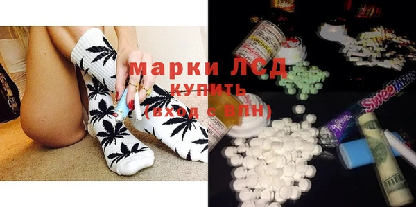гашик Покров
