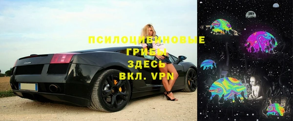 гашик Покров