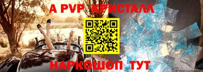 гашик Канаш