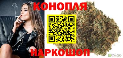 гашик Канаш