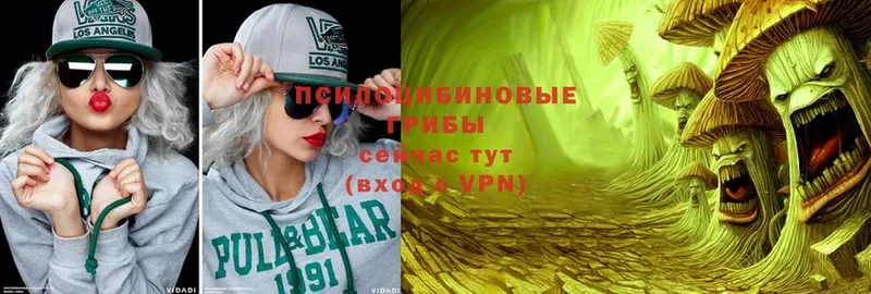 Псилоцибиновые грибы Magic Shrooms  где найти   hydra tor  Красноперекопск 