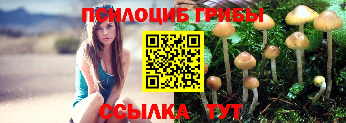 Псилоцибиновые грибы GOLDEN TEACHER  Вход с VPN  купить закладку  Красноперекопск 