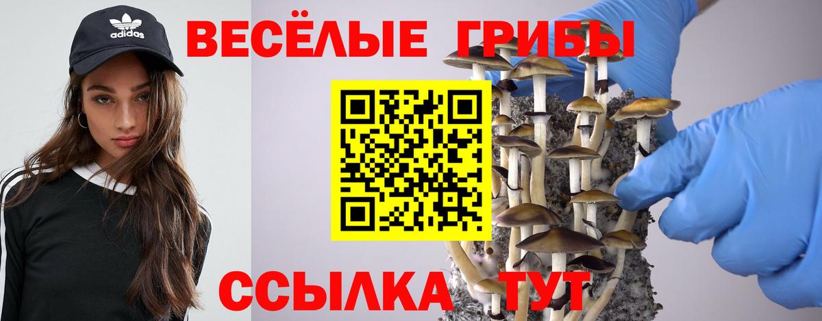 Галлюциногенные грибы Psilocybe Красноперекопск
